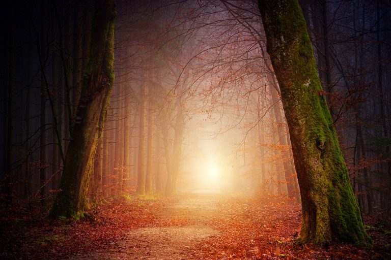 L’automne, le mois de ma guérison